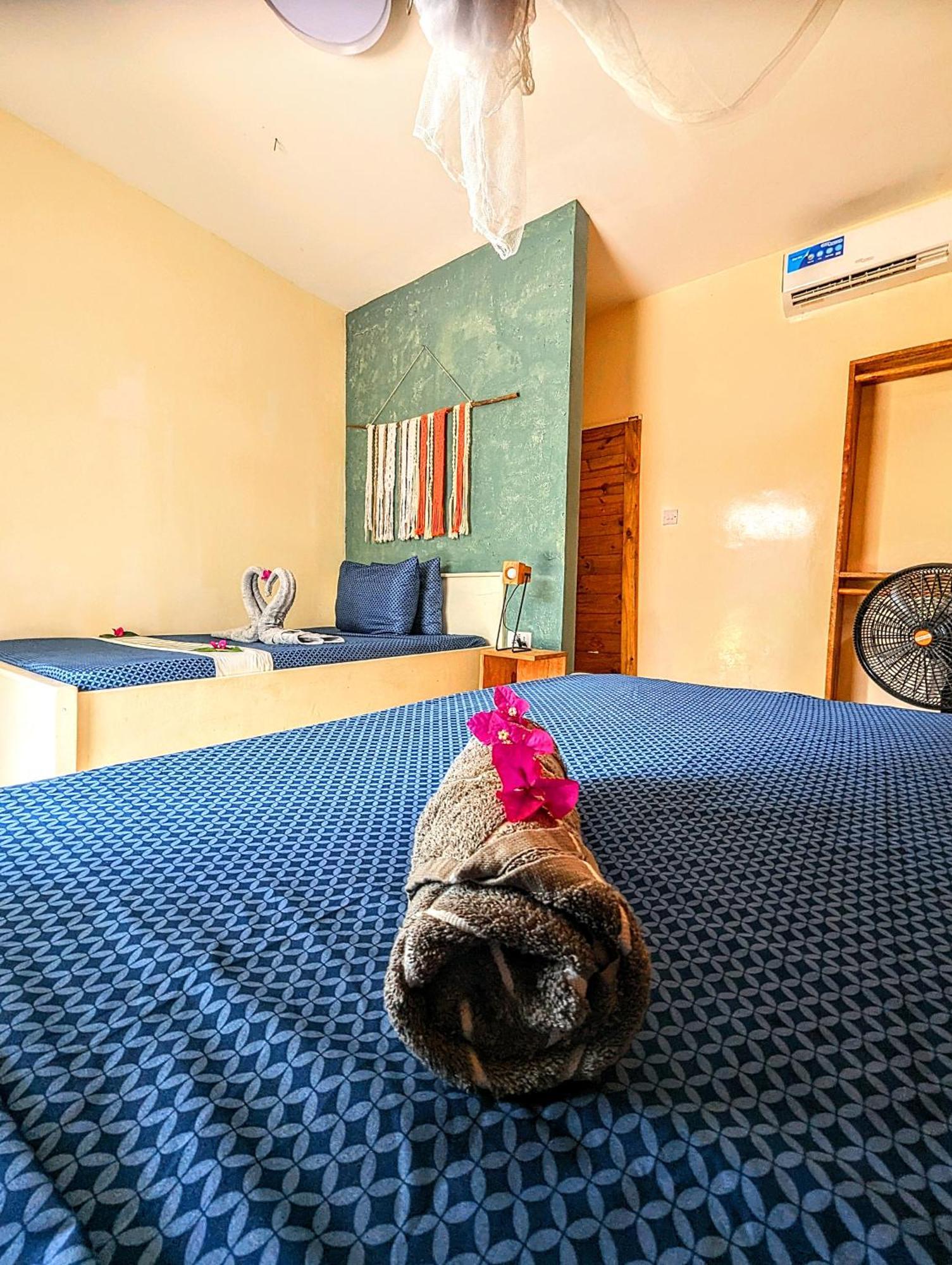 Jambiani Backpackers Hostel Rum bild